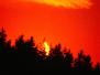Die ringförmige Sonnenfinsternis vom 31.03.2003