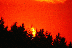 Ringförmige Sonnenfinsternis vom 31. Mai 2003