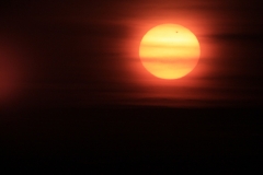Sonne mit Venustransit 2012